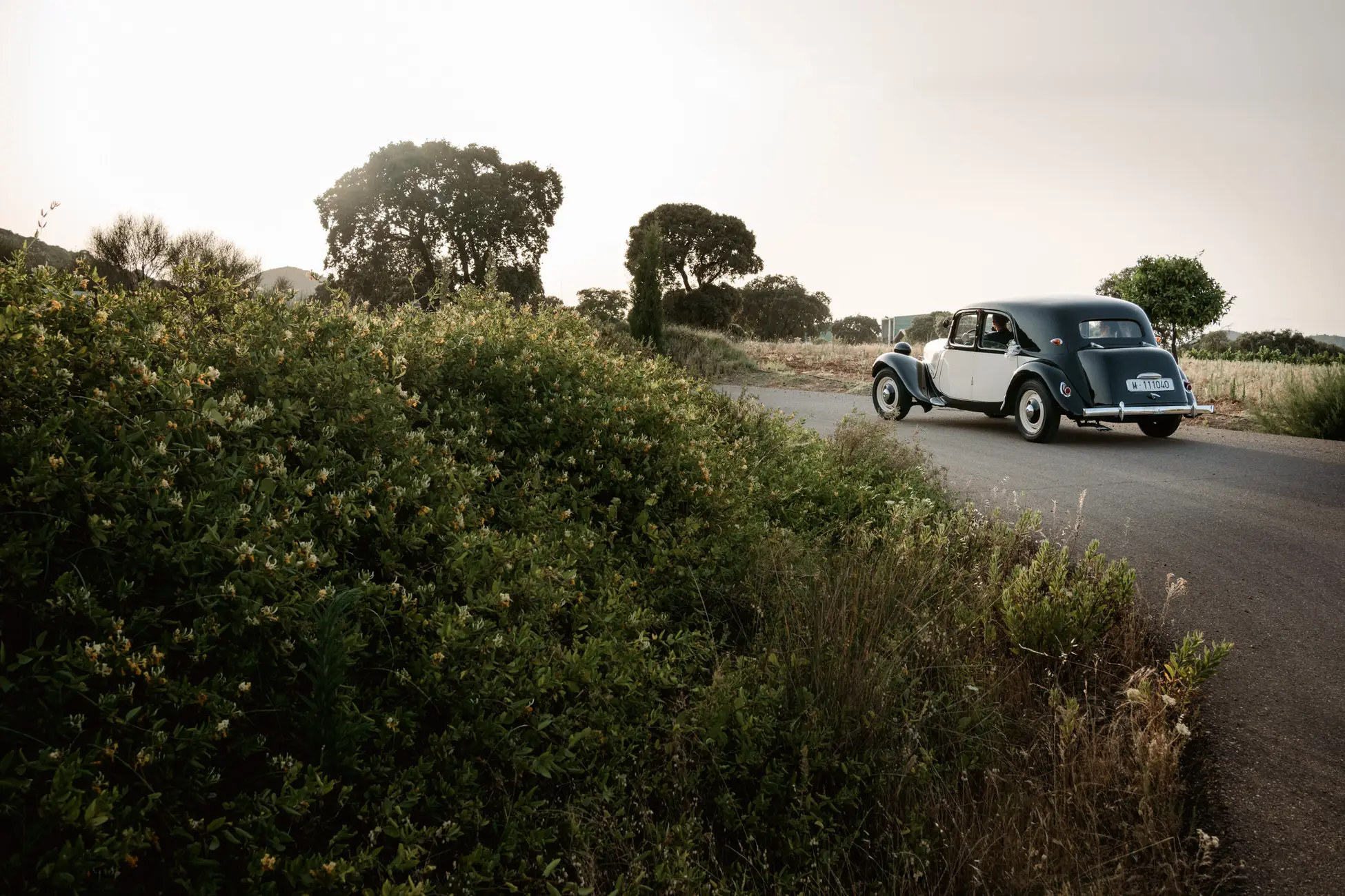 El coche clásico negro por la carretera hacia Bodega Valdealto