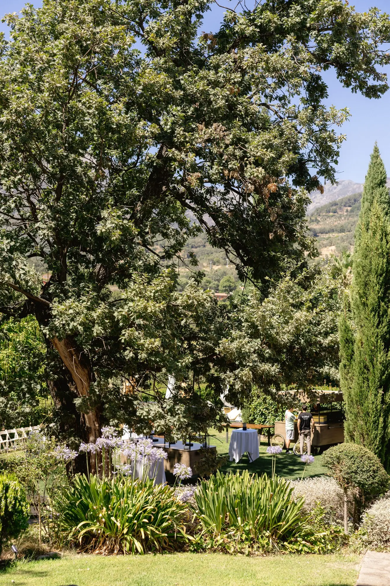 Jardín del Hotel Ruta Imperial con grandes árboles y cipreses
