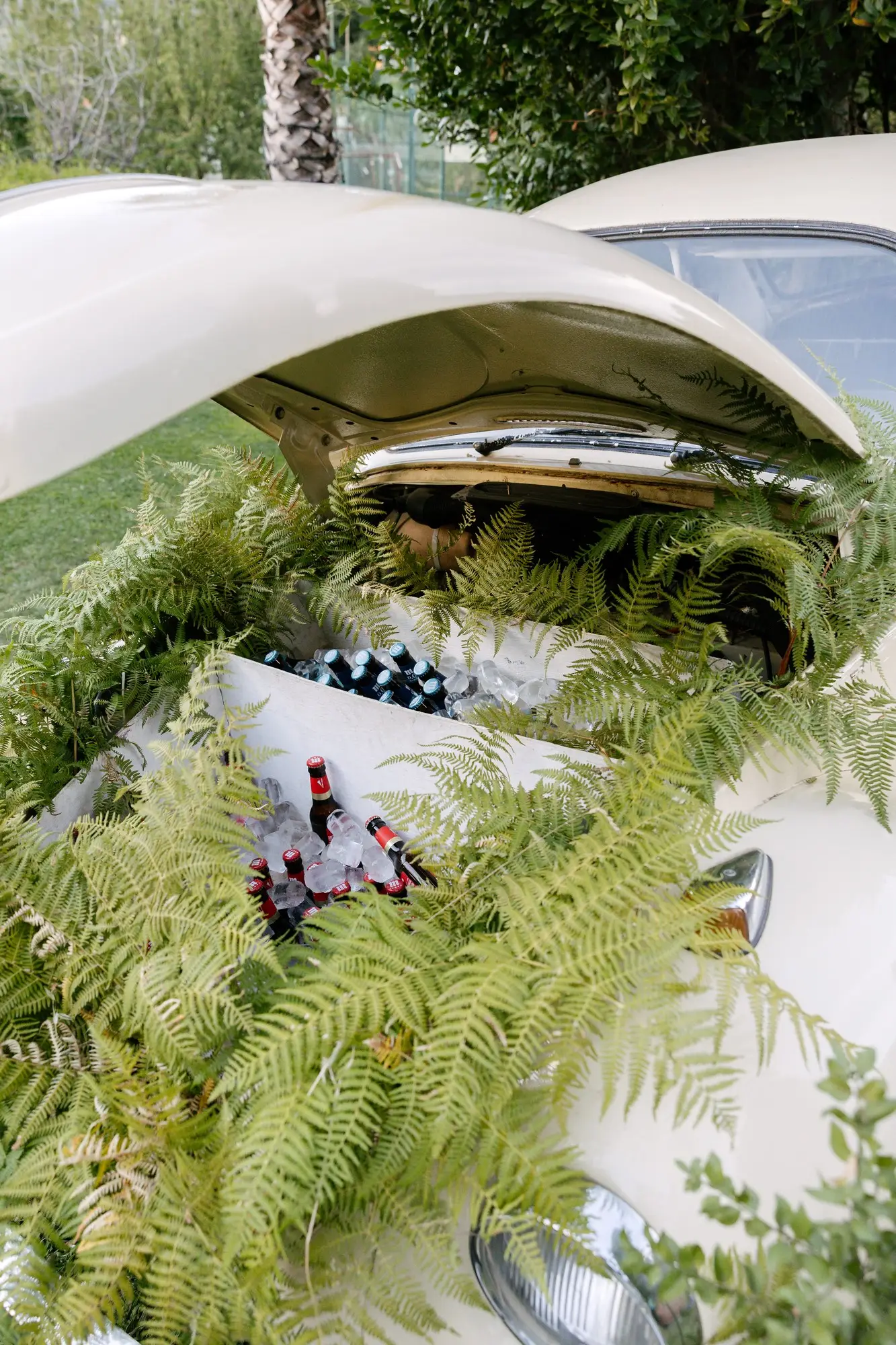 Coche clásico blanco decorado con helechos, en el Hotel Ruta Imperial de Jarandilla