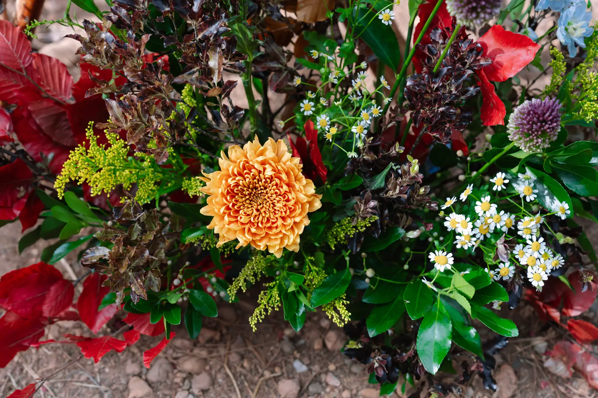 Arreglo floral de dalias y flores de otoño para la ceremonia, en Casa Colorada, Badajoz