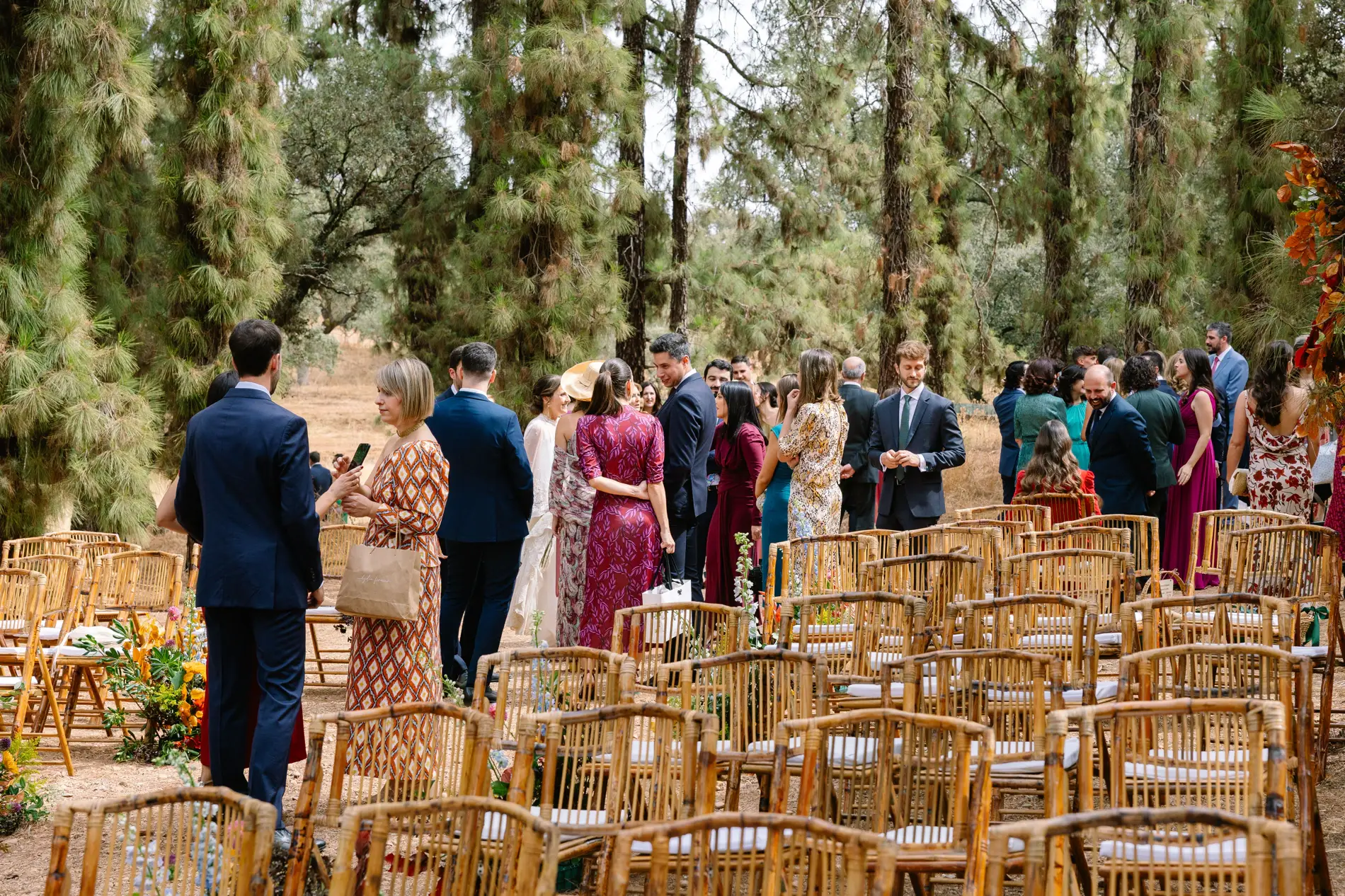 Invitados llegan a la ceremonia entre los pinos de Casa Colorada