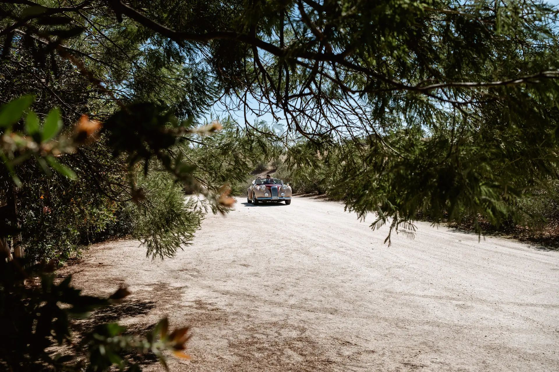 El descapotable rojo de los novios por un camino entre pinos, en Mérida