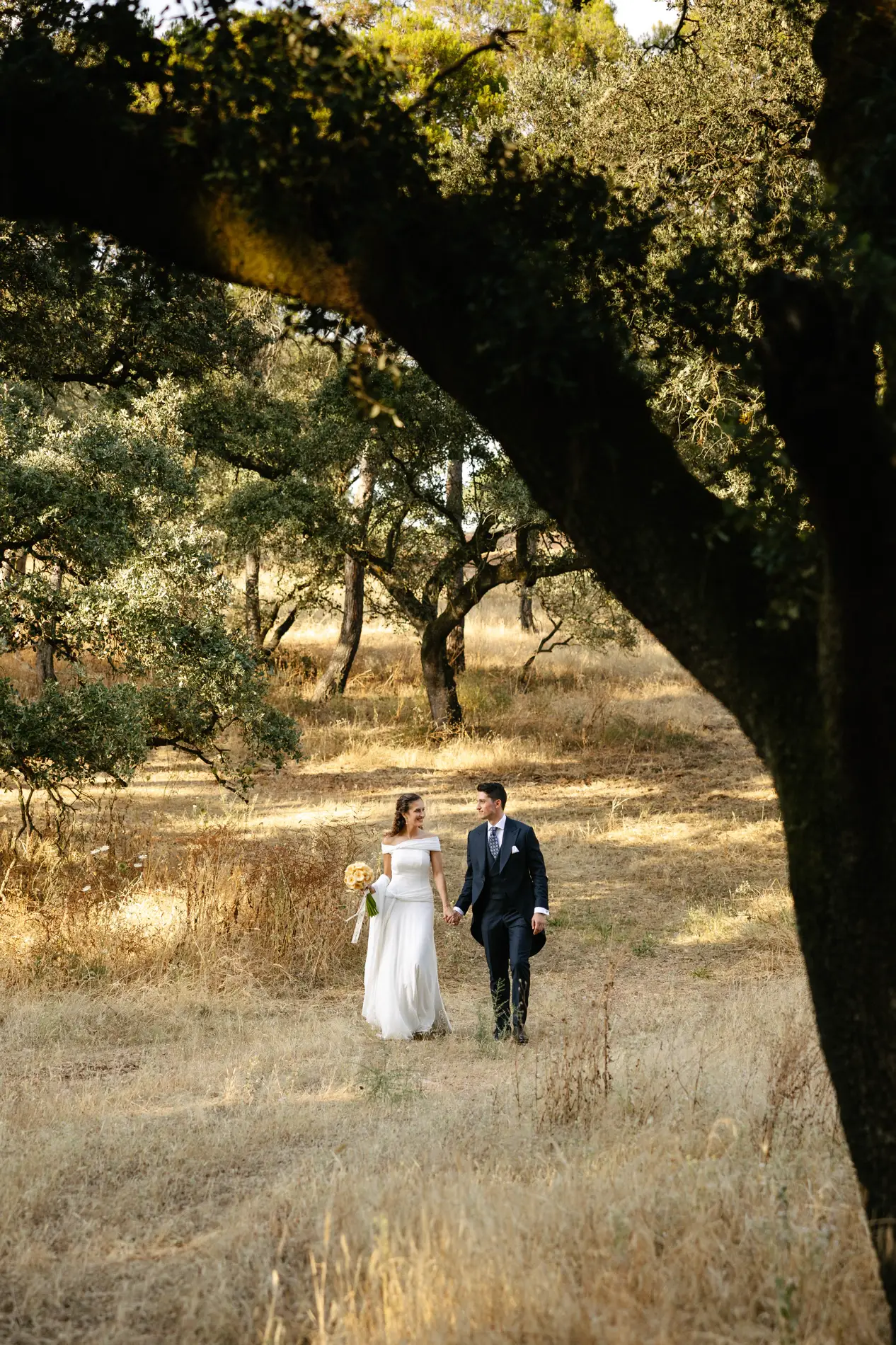 Los novios pasean a lo lejos bajo una encina, en Badajoz