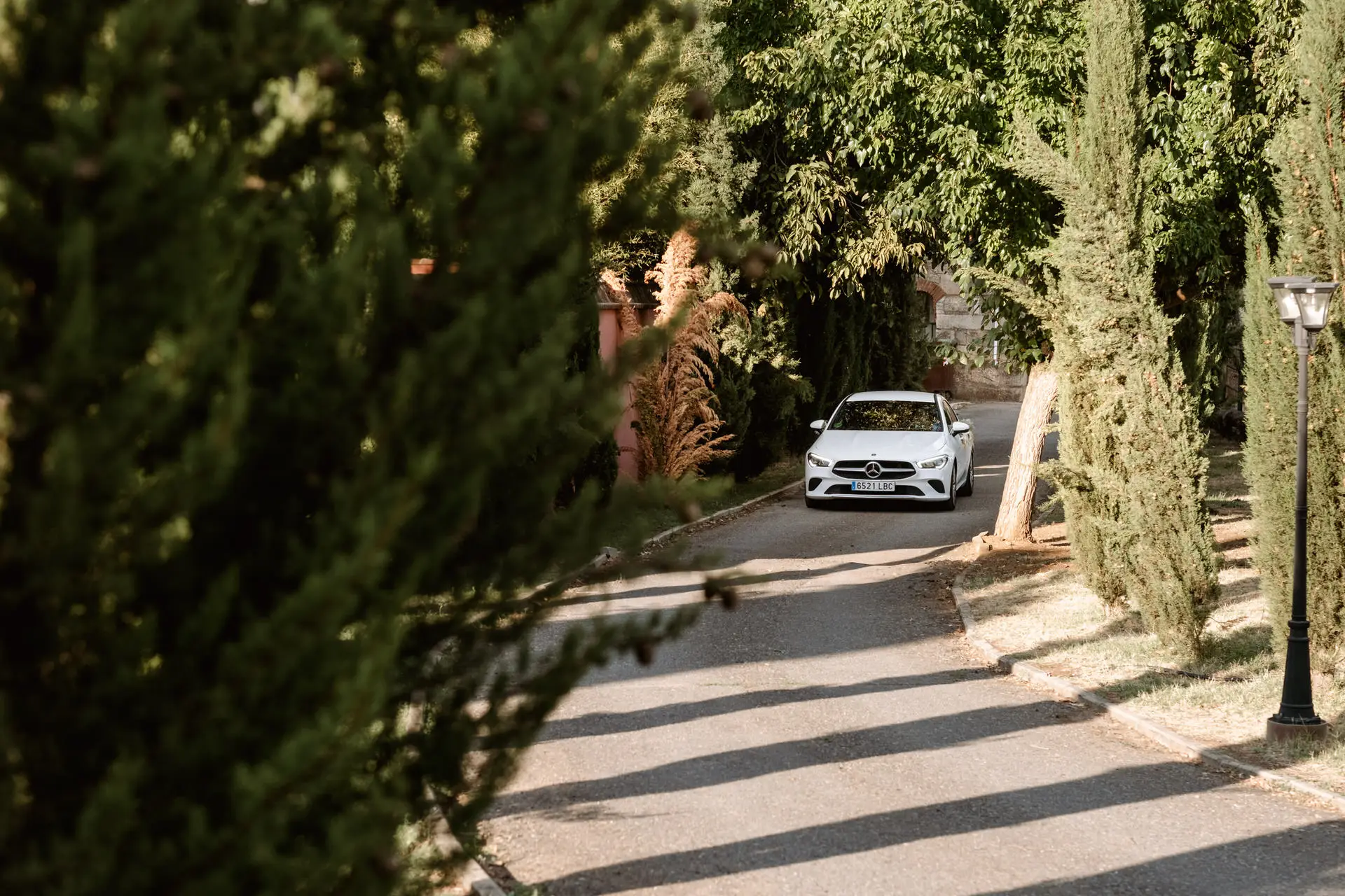 Un coche blanco llega por el camino de cipreses del castillo