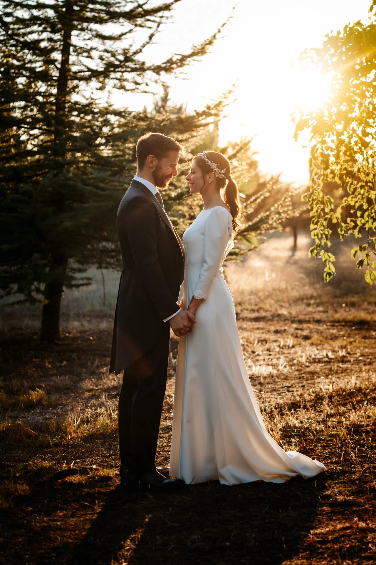 Novios de la mano en un bosque con la luz del atardecer
