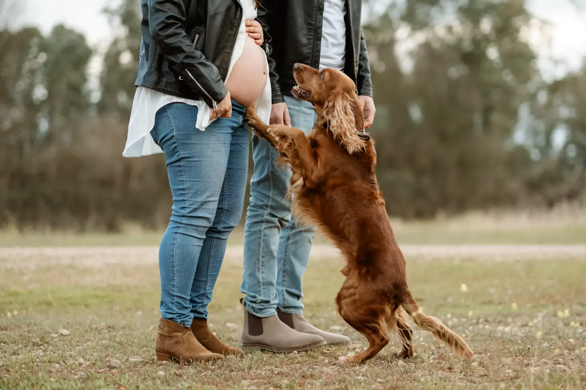 Pareja con la tripa de embarazo y su perro jugando en el campo
