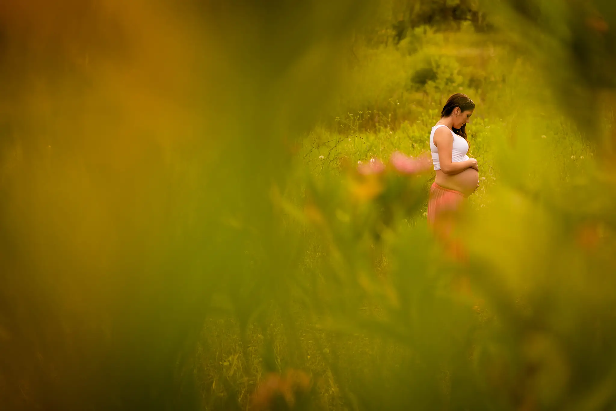 Mujer embarazada de perfil en un campo de flores, vista entre la hierba