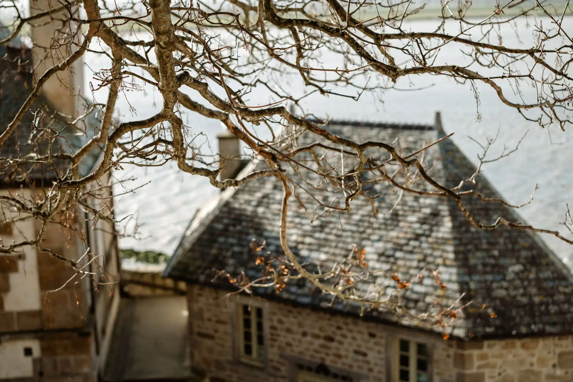 Tejado de pizarra de una casa del Mont Saint-Michel entre ramas